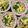 ふたごゆき's cooksnap of when they made 小松菜とえのきの塩昆布卵炒め.