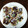 おれにまかせろ's cooksnap of when they made ご飯に合う！れんこんの挟み焼き.