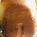 クックHB0OYQ☆'s cooksnap of when they made ふんわり♪しっとり♪はちみつパン♪.
