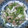 ゆみらんたん's cooksnap of when they made 豆苗とエリンギの中華炒め.