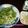 hirousao's cooksnap of when they made もやしdeかさ増し！　鶏の皮酢.