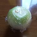 ﾁｲﾁｬﾝﾏﾏ's cooksnap of when they made 涙がでない・痛くならない玉ねぎの切り方.