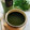 いなばっくす☆'s cooksnap of when they made ちょっと和風な☆抹茶コーヒー.