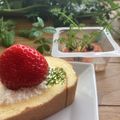 ♡JyuRiku♡'s cooksnap of when they made リボーンベジタブル.
