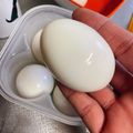 ♥みぃさん♥'s cooksnap of when they made 失敗した事ありません＊キレイなゆで卵.