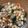 cookぷるぷる☆'s cooksnap of when they made 大豆の五目煮.