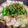 ここあ's cooksnap of when they made 少ない材料で簡単もつ鍋.