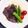 dimbula121's cooksnap of when they made 圧力鍋で！豚肉とプルーンの赤ワイン煮♡.