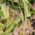 れおんトーマス's cooksnap of when they made 小松菜大量消費！豚肉と小松菜の炒め物☆.