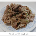 ちょこ☆ちょこ's cooksnap of when they made 簡単☆豚肉のネギ塩ニンニク炒め.