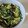 りんばたまま's cooksnap of when they made 大根の葉と塩昆布炒め　簡単.