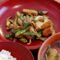 ヤング's cooksnap of when they made 厚揚げと長ねぎの黄金炒め.
