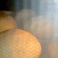 クックCAGW8N☆'s cooksnap of when they made バンズから！手作りハンバーガー.
