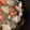 クックZS5DKL☆'s cooksnap of when they made ゆる簡単手羽元煮物☆身体の芯まで温まる♪.