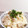 horseland's cooksnap of when they made 簡単！！蓮根と鶏肉の炊き込みご飯.