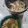 tamago大好き's cooksnap of when they made あげときのこのあんかけ蕎麦.