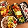 ★♡ゆき♡★'s cooksnap of when they made 卵１個で作るたまごやき.