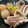 ☆喜助☆'s cooksnap of when they made 里芋とイカの煮付け(略式).