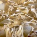 ポムポムポヨコ's cooksnap of when they made 免疫力アップ☆大根と舞茸のお味噌汁.