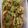 mame_cook4's cooksnap of when they made 簡単ヘルシー！しらたきの中華サラダ.