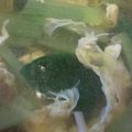 あゆたっくん's cooksnap of when they made 卵ふわふわ♡チンゲン菜の中華スープ.