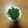 クックchitann's cooksnap of when they made ◎ナムル風◎簡単!!小松菜の塩昆布和え.