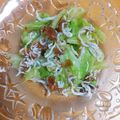 クッキングかぁ♡'s cooksnap of when they made ダイエット副菜♪キャベツじゃこ梅肉あえ.