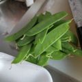 どる嫁's cooksnap of when they made 簡単！絹さやの筋を一気に取る♡.