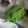 どる嫁's cooksnap of when they made 簡単！絹さやの筋を一気に取る♡.