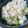 クックT3SU9W☆'s cooksnap of when they made 超簡単！混ぜるだけ！桜エビと白ごまのご飯.