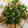 Naomin4's cooksnap of when they made 豆腐でかさ増し！豚ばら薄切り肉ねぎ塩だれ.