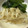 森のさくらっち's cooksnap of when they made 簡単もやしの中華風サラダ.