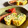 ありみりん♡'s cooksnap of when they made ✿マヨぽんdeにらの卵焼き✿.