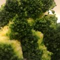 ひなたっこ's cooksnap of when they made ブロッコリー★レンジで簡単茹で方.