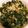 クックDPQXZ6☆'s cooksnap of when they made ご飯がすすむ！ 大根の葉のゴマ油炒め.