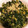 クックDPQXZ6☆'s cooksnap of when they made ご飯がすすむ！ 大根の葉のゴマ油炒め.