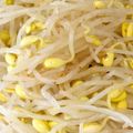 左官屋の奥さんです's cooksnap of when they made 簡単✨豆もやしのナムル.