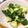 夕飯は６時です's cooksnap of when they made キュウリの甘辛中華風漬物.