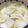 豆乳pudding's cooksnap of when they made かぶのゆず砂糖漬け.