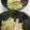snow012's cooksnap of when they made 生ハムと白菜と大葉のサラダ？.