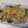 きらり流れ星's cooksnap of when they made 簡単中華炒め味豚こま大根青椒肉絲風.