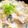 ぴよこまめ☆'s cooksnap of when they made 冷やご飯で 雑穀豆乳おじや.