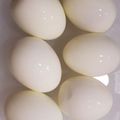 チロルぶー's cooksnap of when they made むきやすいゆで卵の作り方.