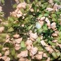 hihi☆405's cooksnap of when they made かぶの葉とひき肉の混ぜご飯.