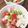 そらてんママ's cooksnap of when they made キューブ野菜のフレンチサラダ.