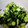 クックGLAWBJ☆'s cooksnap of when they made わかめと胡瓜の酢の物.