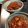 真さん's cooksnap of when they made ミートボールのスパイシートマト煮込み.