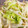 ガチャ＊'s cooksnap of when they made 白菜とモヤシのナムル風和え物.
