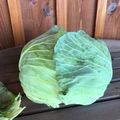 nmmnsora's cooksnap of when they made staubでコトコトポトフ.