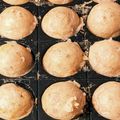 maro42's cooksnap of when they made 米粉たこ焼き♡お店のカリっとろを実現！.